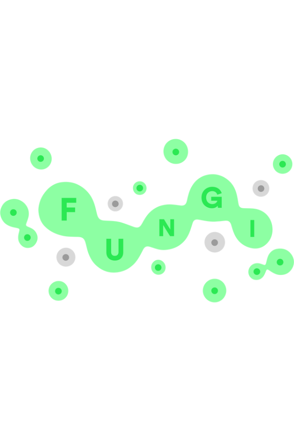 Get FUNGI at The Best Price - GameBound